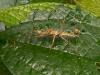 229991 – Photo : EVELINE FILDERMAN – Vietnam